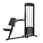 Gymleco 255 Biceps Curl/Triceps Extension
