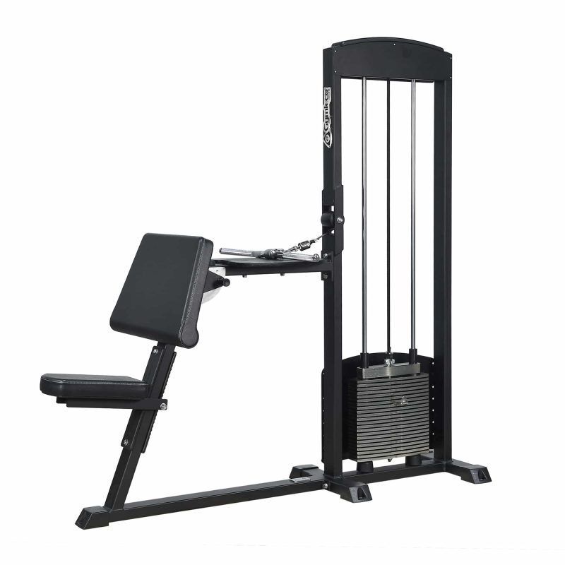 Gymleco 255 Biceps Curl/Triceps Extension