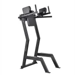 Gymleco 173 Leglift with Dip Bar