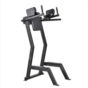 Gymleco 173 Leglift with Dip Bar