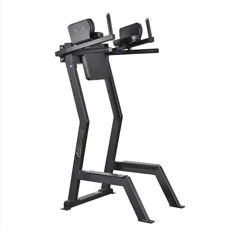Gymleco 173 Leglift with Dip Bar