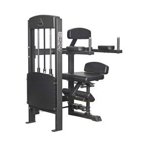 Gymleco 375 Torso Rotation