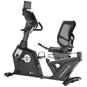 Καθιστό Ποδήλατο Pegasus® R11