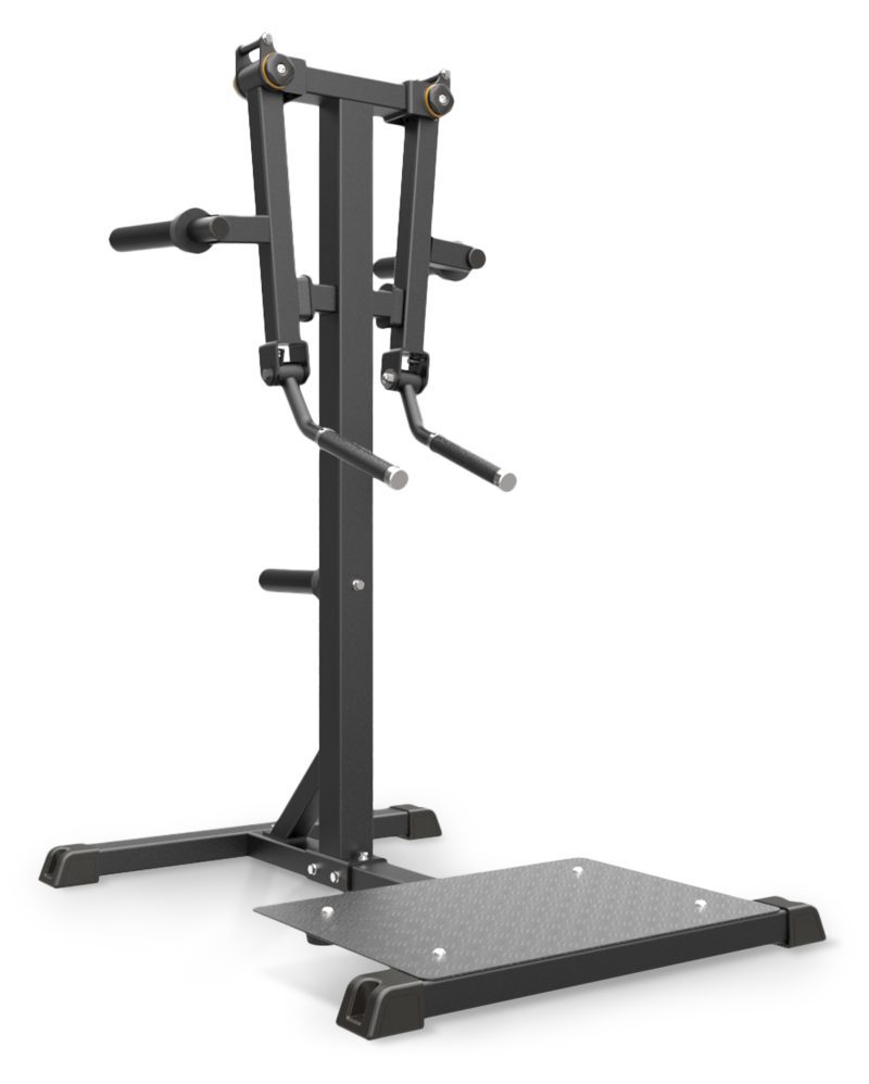 Standing Lateral Raise Impulse IFP1103 | Fitnesspro.gr